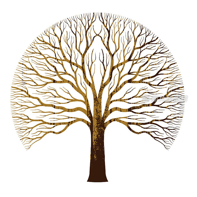 Round oak tree illustration